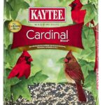 cardinal bird food