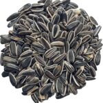 sunflower hearts bird food