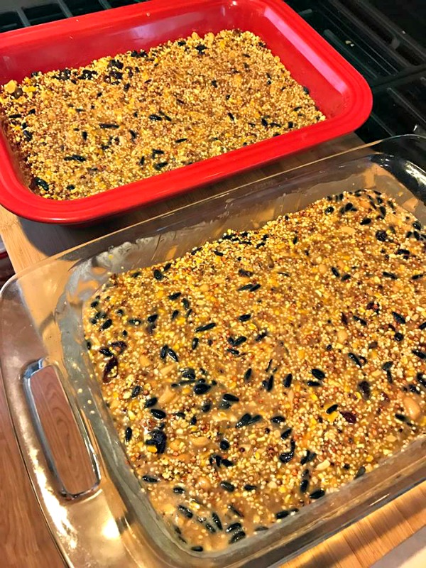 bird food cakes2